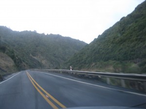 Left side of the road, North Island, New Zealand