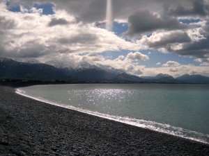 Beachfront, Kaikoura, South Island, New Zealand