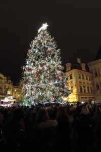Christmas Tree in Old Town Square