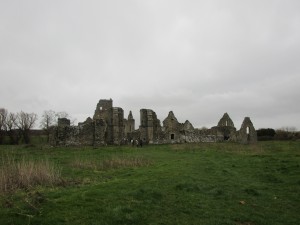 Athassel Priory, Medieval Ruins 