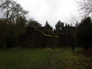 Carey's Castle