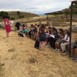 Learning about Hellenistic Greek houses perched on the foundations of the House of the Arched Cistern at Morgantina